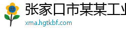 张家口市某某工业设备有限责任公司